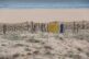 Prosop plaja LONG BEACH Prosop plaja LONG BEACH
