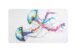JELLY FISH DECK TOWEL INDIVIDUAL