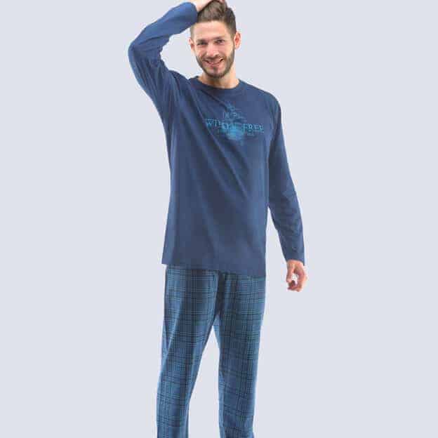 79121_DCMDZM